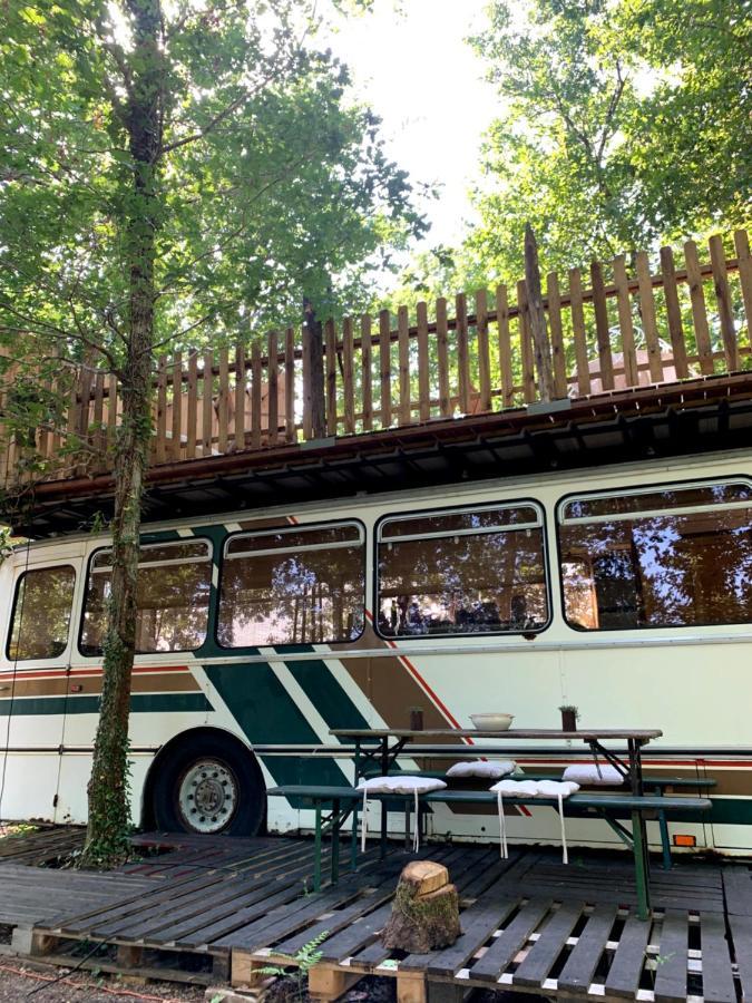 Magic Roof Top Bus With Big Bath In The Tree Forest! Mimizan-Plage Exterior foto